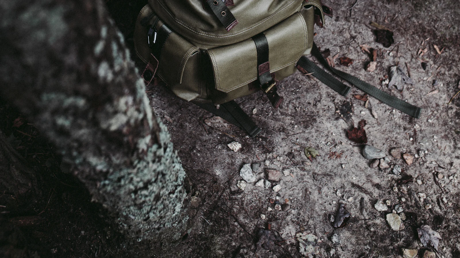Olivgrüner Canvas-Rucksack an einem Baumstamm im Wald.